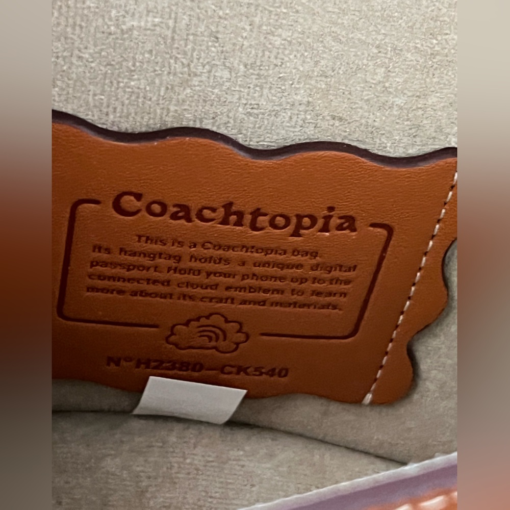 Coach Pebbled Leather Colorblock Saddle Crossbody Bag - Brown/Pink - Picture 8 of 15